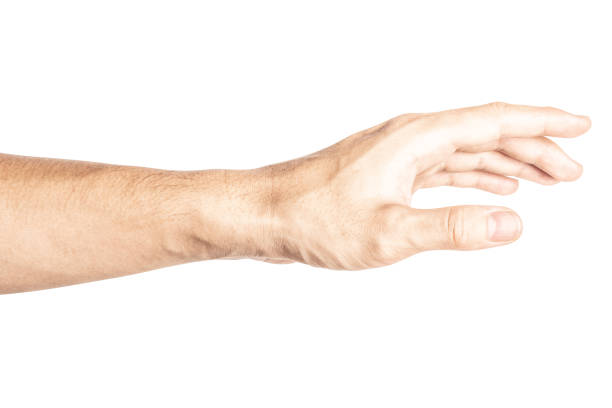 istock Hand open and ready to help or receive. Gesture isolated on white background with clipping path. 1145025478