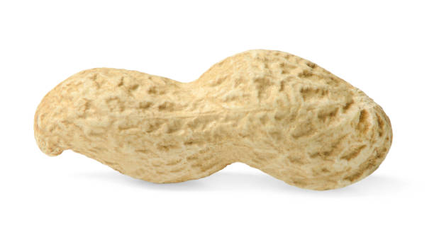 istock Whole peanuts in the shell. White isolated background. Macro. Side view. 1145025700