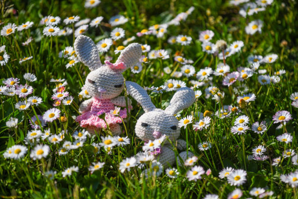 Handmade crochet rabbit toys on flower meadow