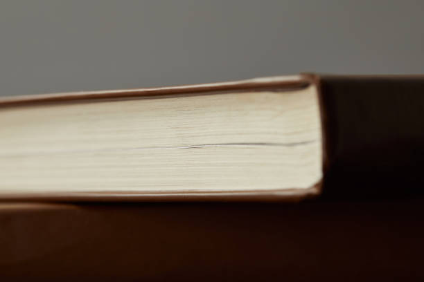 istock Selective focus of brown books isolated on grey 1145032134