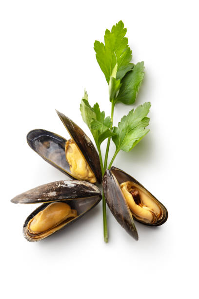 istock Seafood: Mussels and Parsley Isolated on White Background 1145034410