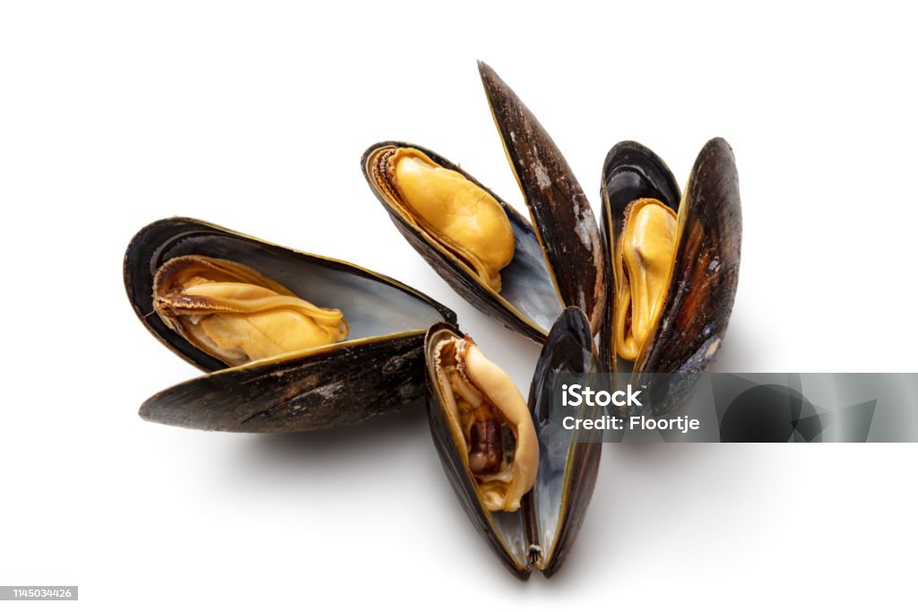 Seafood: Mussels Isolated on White Background Mussel Stock Photo