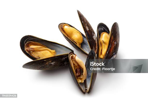 Seafood Mussels Isolated On White Background Stock Photo - Download Image Now - Mussel, White Background, Crustacean
