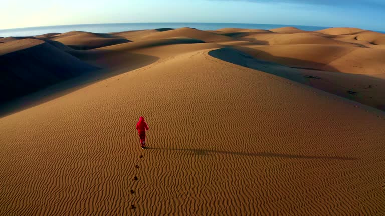 Desert run. Aerial view