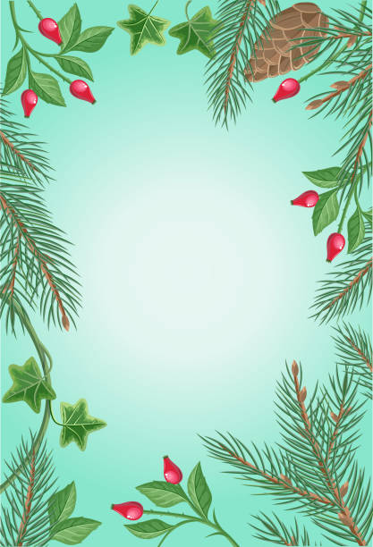 ilustrações de stock, clip art, desenhos animados e ícones de winter frame with rose hips, pine branches, ivy - christmas holly frame ivy
