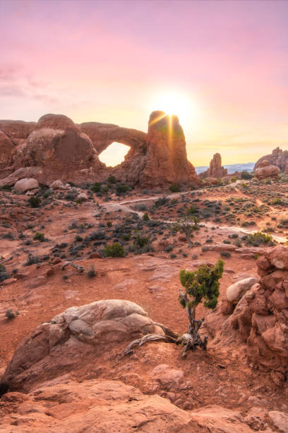 istock Golden light shining through a natural sandstone arch during sunrise. 1145044640