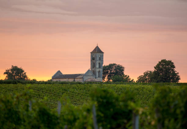 Sunset over the vineyards of Montagne near Saint Emilion. Gironde, Aquitaine. France stock photo