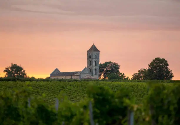 Photo of Sunset over the vineyards of Montagne near Saint Emilion. Gironde, Aquitaine. France