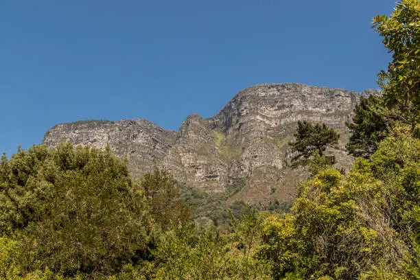 Mountains, Tablemountain National Park, Cape Town, South Africa.