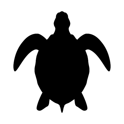 Icon sea turtle. Isolated symbol on white background. Vector illustration