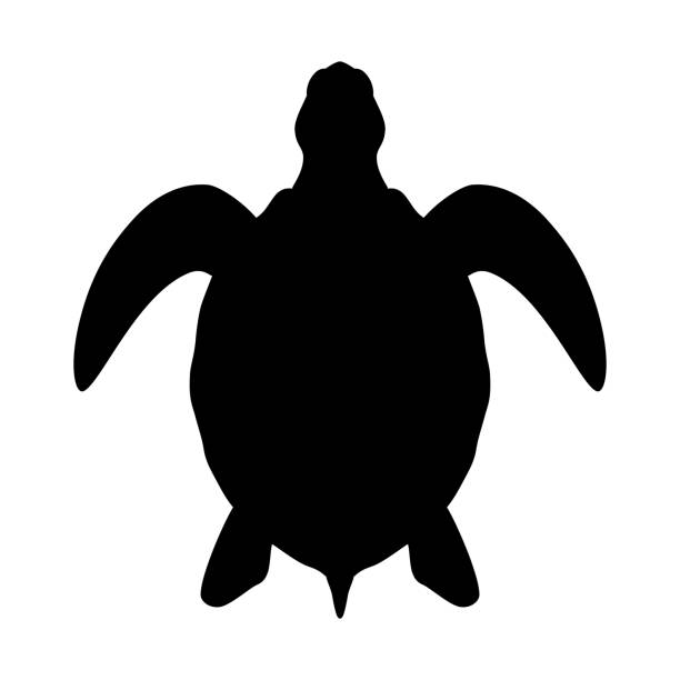 Turtle silhouette Icon sea turtle. Isolated symbol on white background. Vector illustration sea turtle stock illustrations
