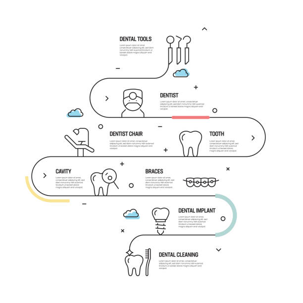 ilustrações, clipart, desenhos animados e ícones de conceito relacionado dental do vetor e elementos do projeto de infographic no estilo linear - dentist dental hygiene symbol computer icon