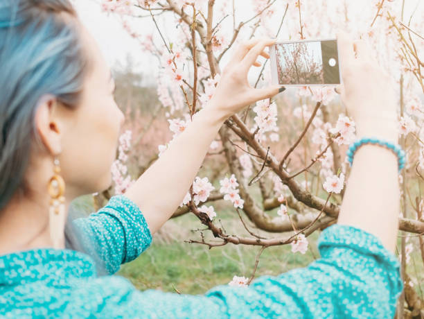 istock Woman taking photo blossoming tree. 1145054379