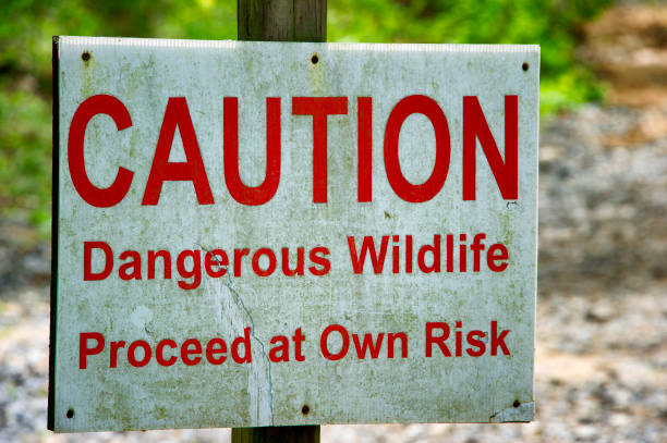 istock Caution Sign to Hikers in Laurel Run Park Tennessee 1145057520