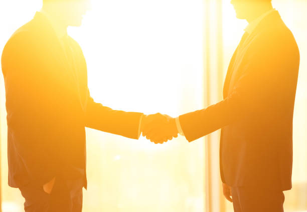 istock The two businessmen handshake on the bright sun background 1145066042