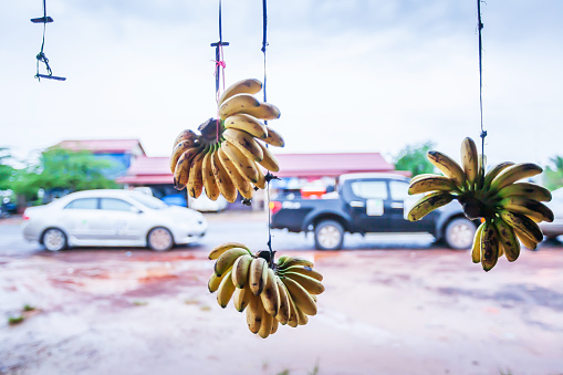 Daily life of country road in Koh Kong, South Cambodia, view from inside a local store looking out, ripe bananas hanging in front of the grocery store, cars on the roadside backdrop. Focus on bananas.