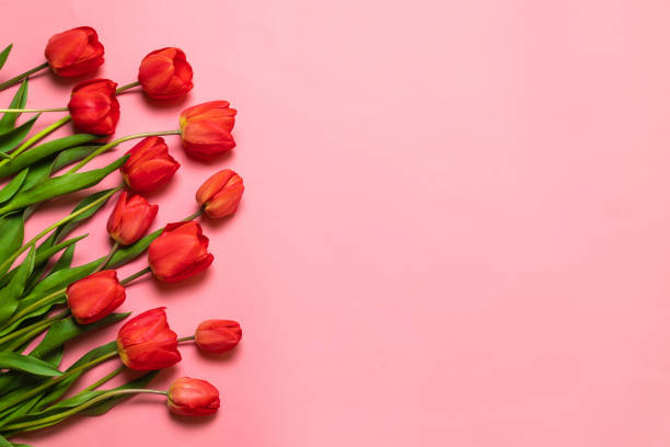 istock 8 March Happy Women banner 1145069269