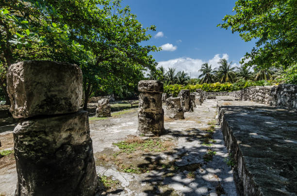 istock Mayan archaeological site of San Miguelito 1145071224