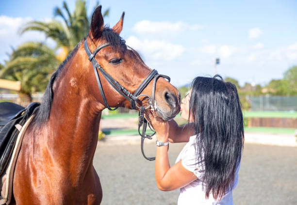 young woman kissing her horse - horse arabian horse arabia white imagens e fotografias de stock