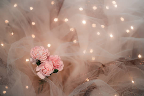 three flowers carnations with toile and sparkling fairy lights