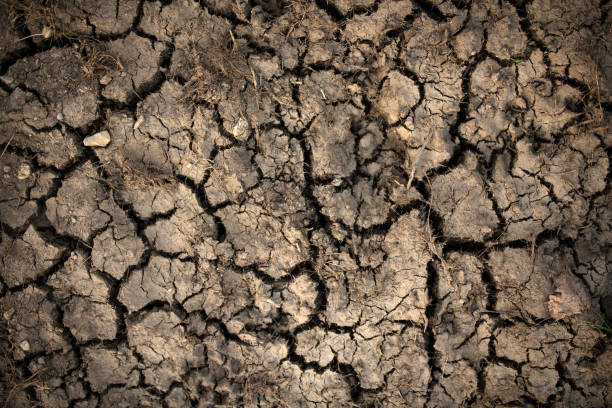 dry cracked ground, germany - photography nature rural scene full frame imagens e fotografias de stock