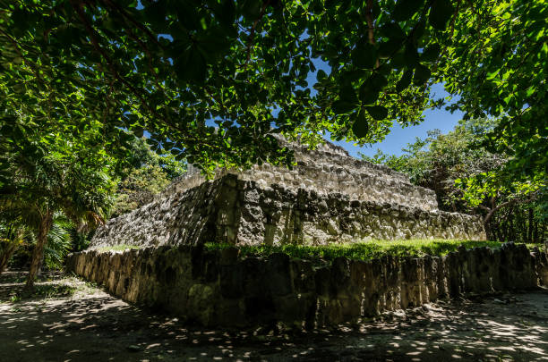 istock Mayan archaeological site of San Miguelito 1145084871