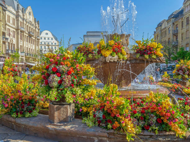 Timisoara: Floral decorations in Victory Square on the occasion of the Flower Festival organized by the City Hall. Old fountain is support and Opera House in background.