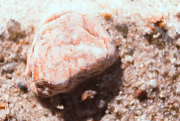 Large crystals of clean river sand. Small stones macro