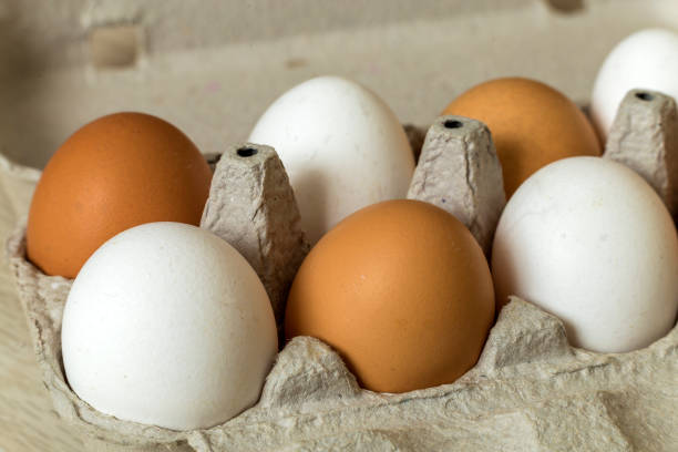 istock Hen eggs in open cardboard egg carton on kitchen table light copy space background. Healthy organic food and diet concept. 1145087923
