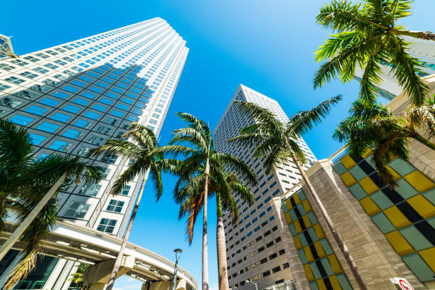 晴れた日のマイアミのダウンタウンの高層ビルとヤシの木 - contemporary reflection tree north america ストックフォトと画像
