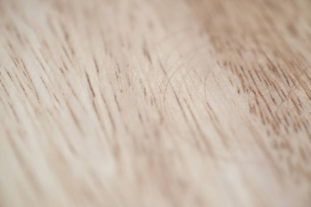 istock the texture of wood 1145091251