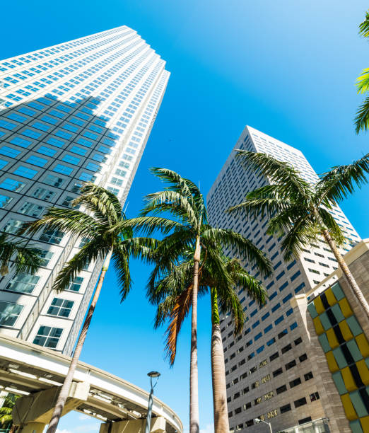 istock Skyscrapers and palm trees in downtown Miami on a sunny day 1145091881