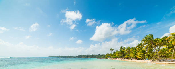 istock Cloudy sky over La Caravelle beach in Guadeloupe 1145093103