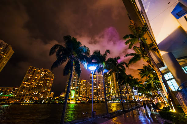 istock Palm trees and skyscrapers in Miami riverwalk at night 1145094262
