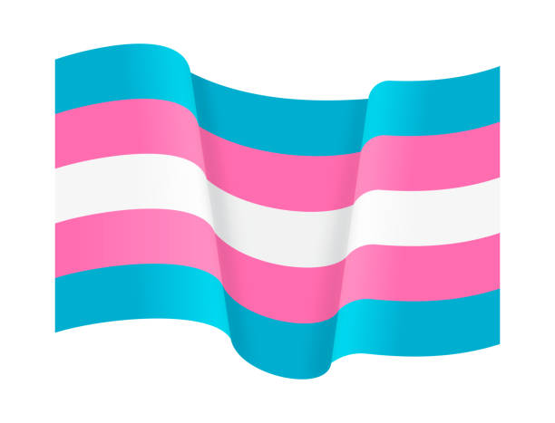 Transgender Pride Flag Flag in honor of transgender pride and rights. gender change stock illustrations