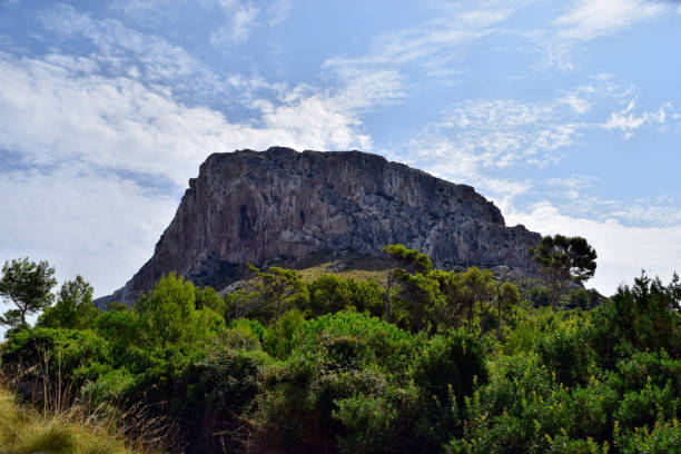 istock Formentor mountains and forest in Mallorca 1145100376