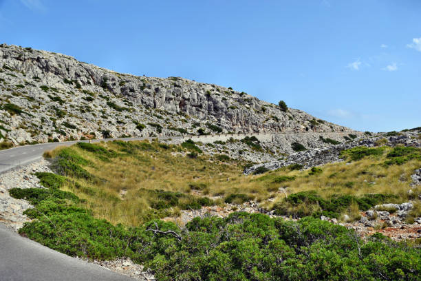 istock Open coastal road winding through to lighthouse Cap Formentor 1145101725