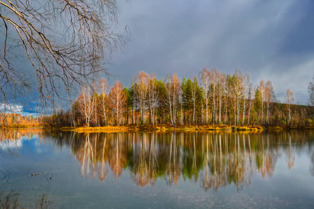 istock Autumn landscape sunny warm day in the forest by the river 1145103302