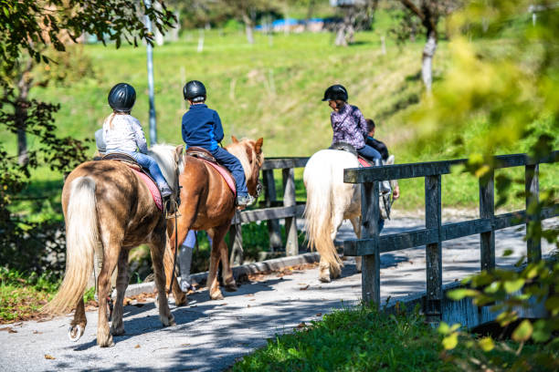 istock Three children on a horseback riding 1145104188