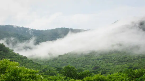 Landscape of Brazil, mountains and cerrado with green forests, of the caatinga biome