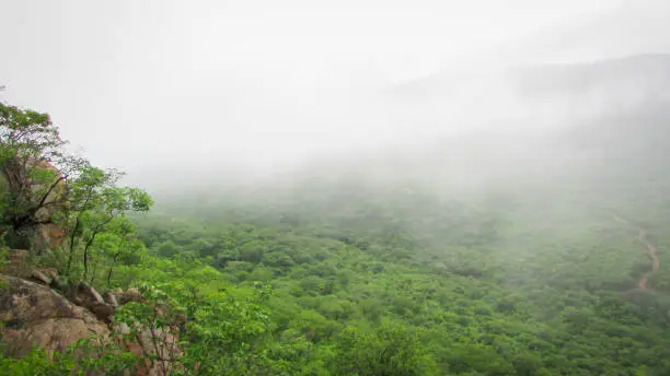 Landscape of Brazil, mountains and cerrado with green forests, of the caatinga biome