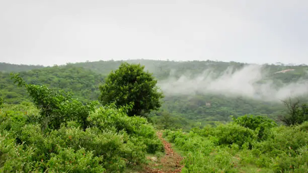 Landscape of Brazil, mountains and cerrado with green forests, of the caatinga biome