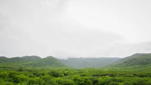 Landscape of Brazil, mountains and cerrado with green forests, of the caatinga biome