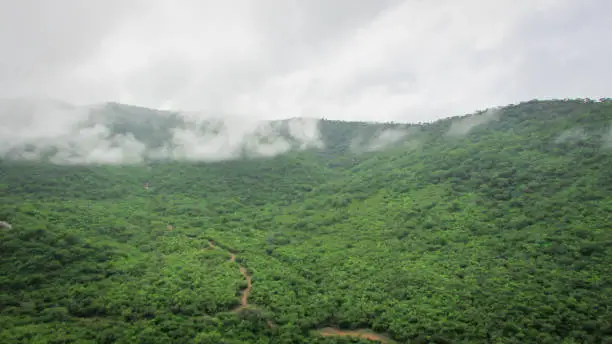 Landscape of Brazil, mountains and cerrado with green forests, of the caatinga biome