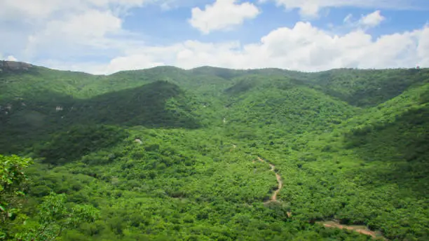 Landscape of Brazil, mountains and cerrado with green forests, of the caatinga biome