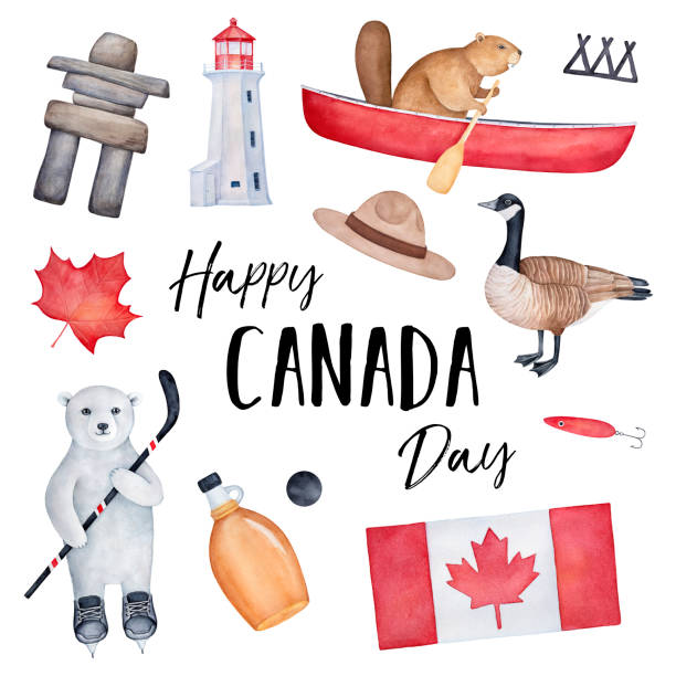 ilustrações, clipart, desenhos animados e ícones de projeto do cartão do "dia feliz canadá" com bandeira nacional, vários símbolos do país, caráteres animais positivos e mensagem do feriado. pintura gráfica handdrawn do watercolour na forma branca, quadrada. - canadian flag canada flag maple leaf