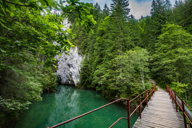 istock Boardwalk in Orzei gorges in Romanian Carpathians 1145113839