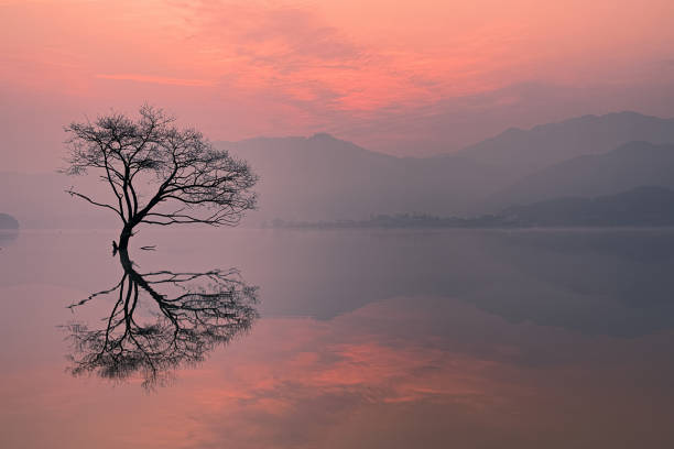 istock Dawn on the lake VD702 1145115376