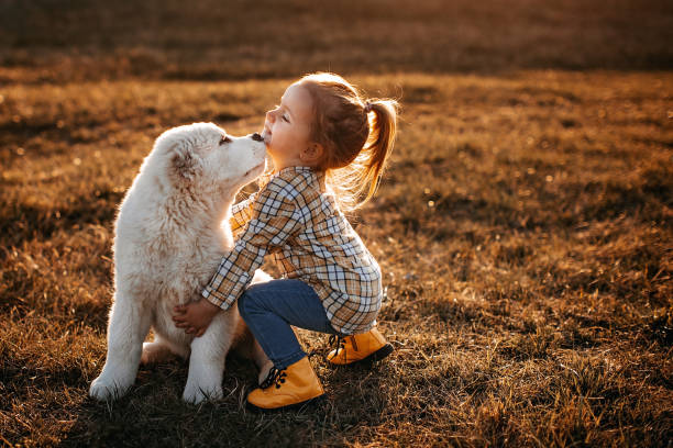 il cane albai è il mio preferito - spring child field running foto e immagini stock