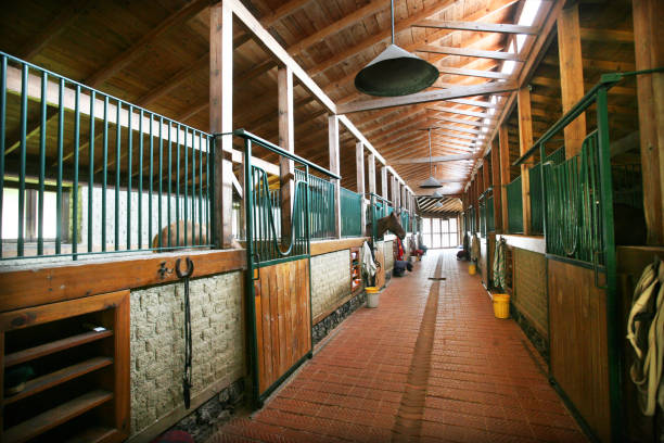 Horse shelter stock photo